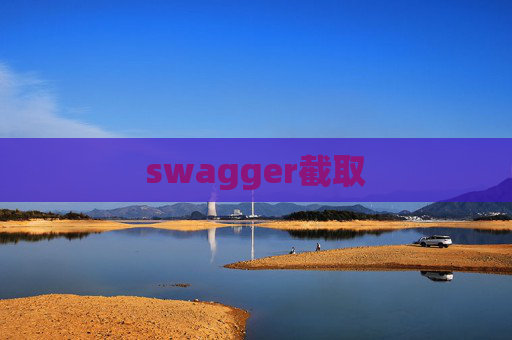 swagger截取